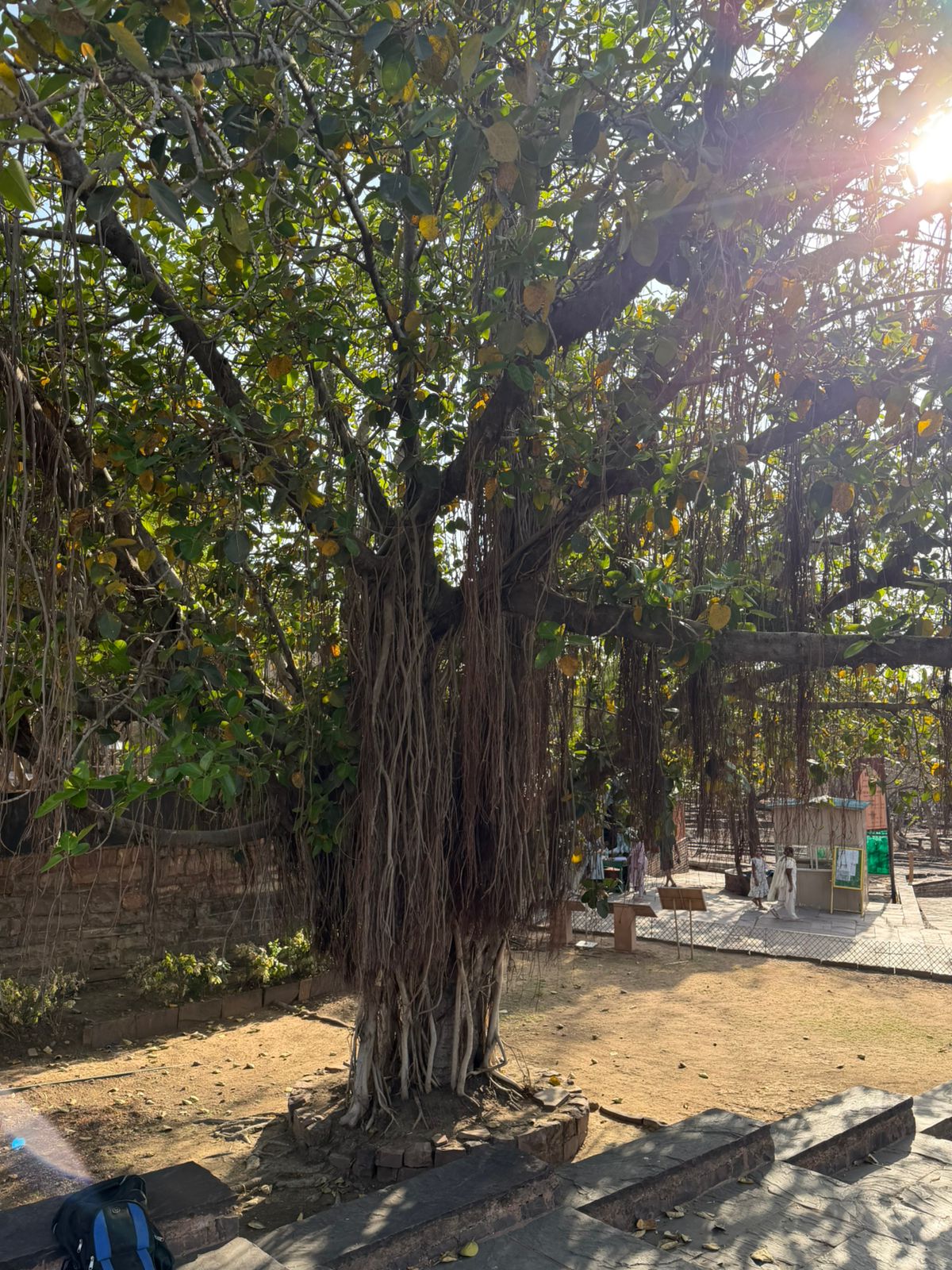 WhatsApp Image 2026-03-29 at 3.16.06 PM