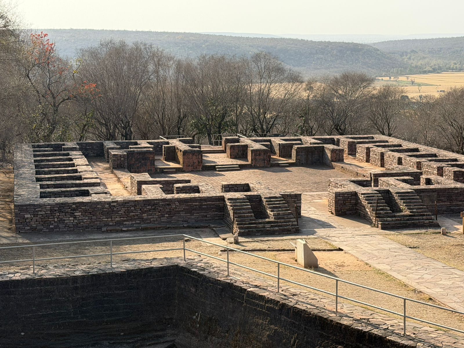 WhatsApp Image 2026-03-29 at 3.16.14 PM