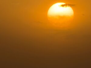 WhatsApp Image 2026-03-29 at 7.59.49 PM