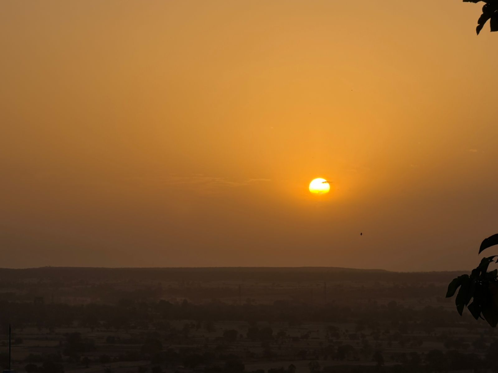 WhatsApp Image 2026-03-29 at 7.59.50 PM