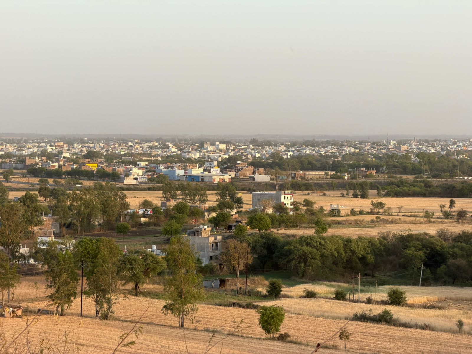 WhatsApp Image 2026-03-29 at 7.59.54 PM