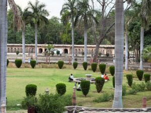 WhatsApp Image 2026-04-01 at 3.08.41 PM