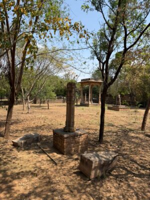 WhatsApp Image 2026-04-01 at 6.47.21 PM