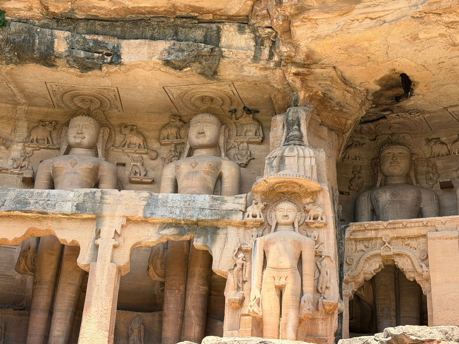 WhatsApp Image 2026-04-01 at 9.57.23 PM