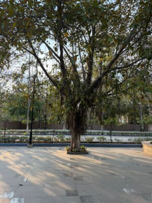 WhatsApp Image 2026-04-02 at 8.11.46 PM