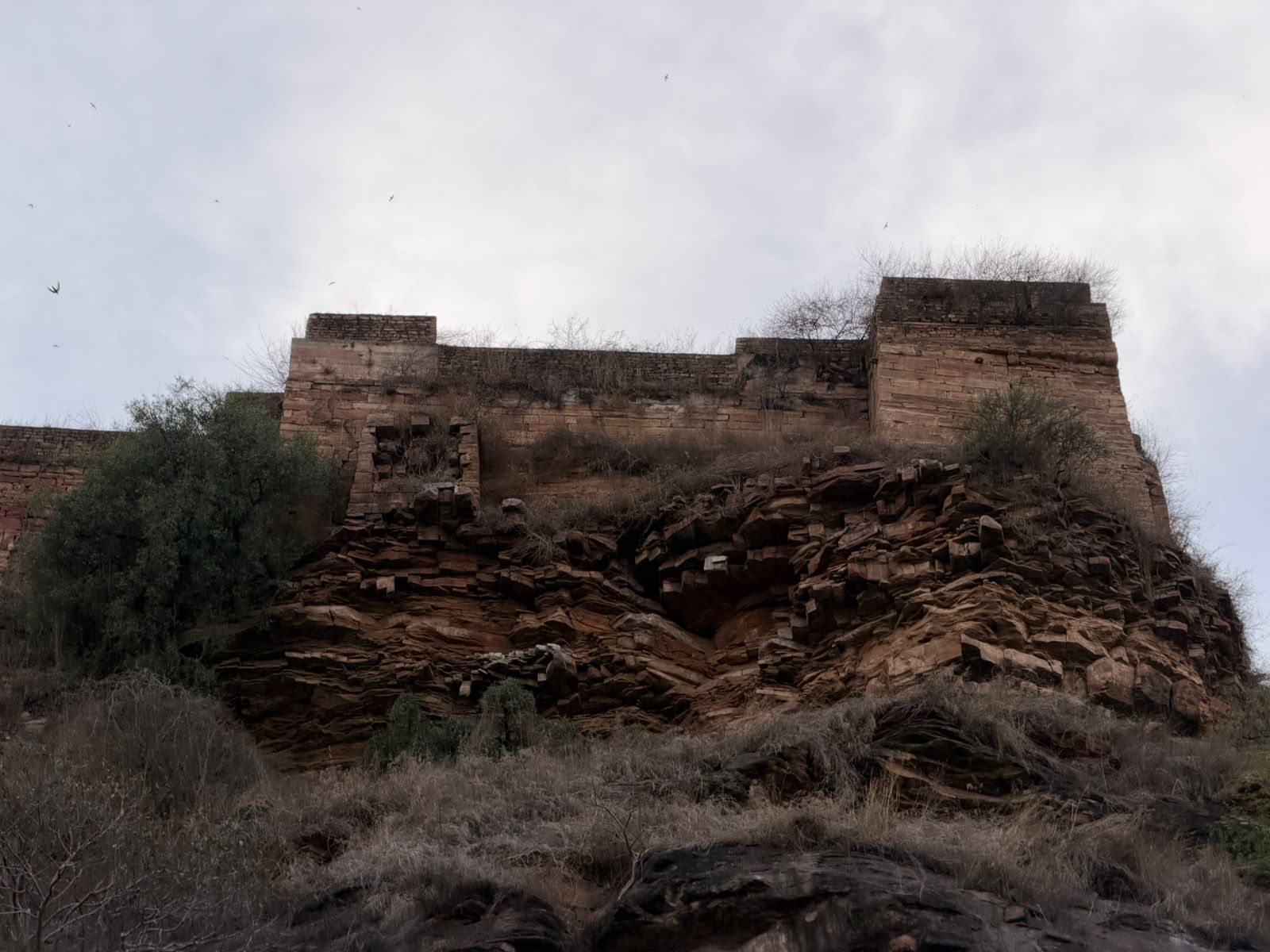 WhatsApp Image 2026-04-05 at 1.28.54 PM