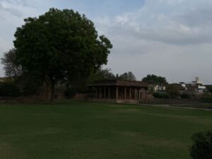 WhatsApp Image 2026-04-05 at 11.59.58 AM