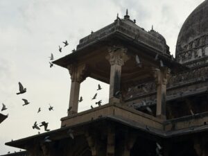 WhatsApp Image 2026-04-05 at 12.00.01 PM (1)