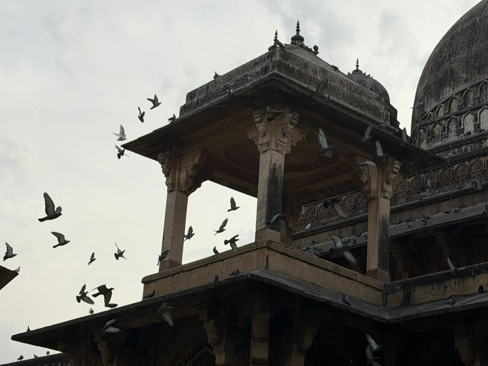 WhatsApp Image 2026-04-05 at 12.00.01 PM (1)